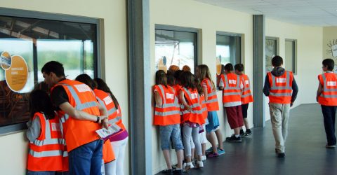 Image : Visite scolaire - Trivalandes - Trivalis - Terres de Montaigu