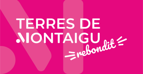 BLOC MARQUE - 2020 - Terres de Montoigu Rebondit - rose